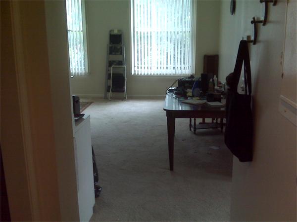 Viewing Image 11