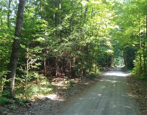 Land for Sale, ListingId:17250423, location: 229 Brush Valley Rd Warwick 01378