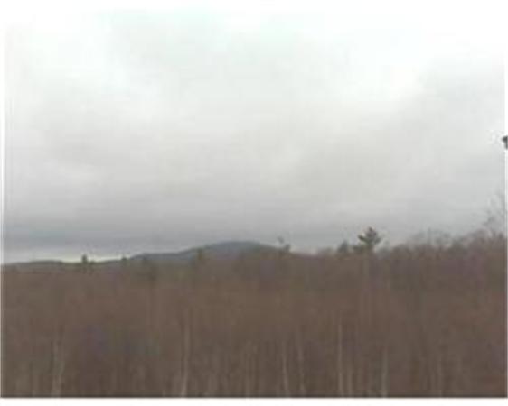 Viewing Image 4