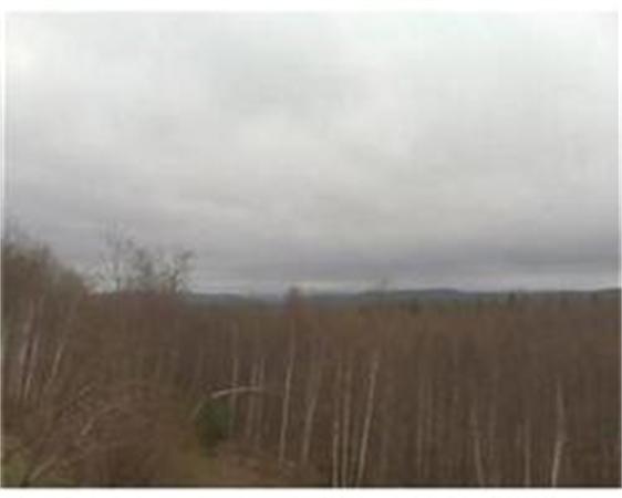 Viewing Image 6