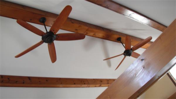 Viewing Image 14