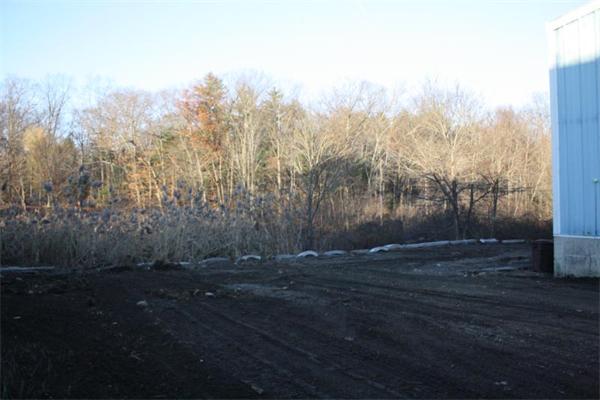 Viewing Image 11