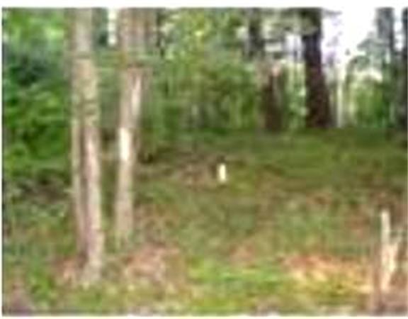 Real Estate for Sale, ListingId:17251127, location: Lot 2 West State Road Ashby 01431