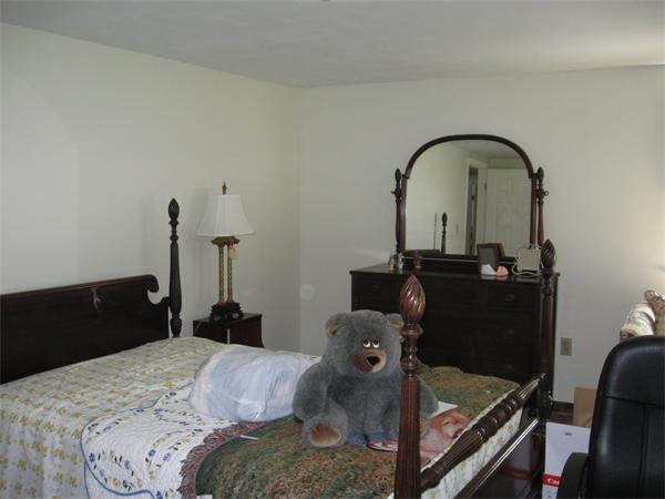 Viewing Image 11