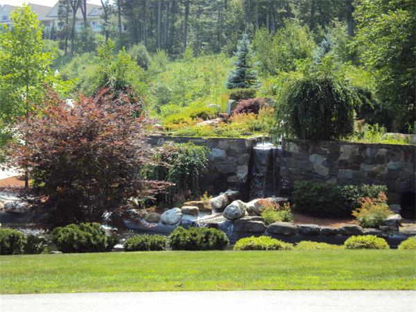Viewing Image 5