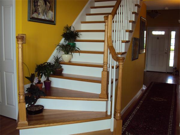 Viewing Image 8