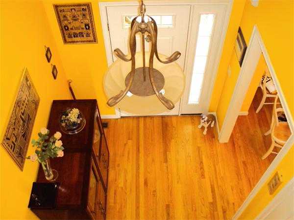 Viewing Image 15