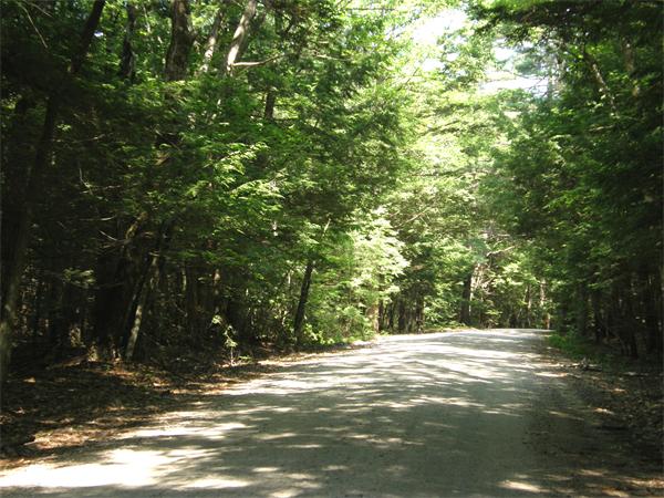 Land for Sale, ListingId:17271268, location: Lot 1 Moosehorn Road New Salem 01355