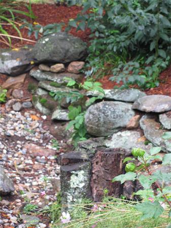 Viewing Image 10
