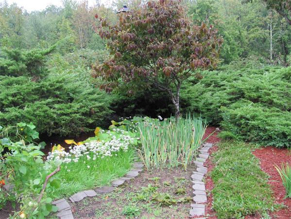Viewing Image 14