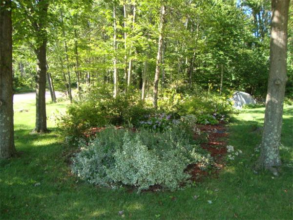 Viewing Image 9