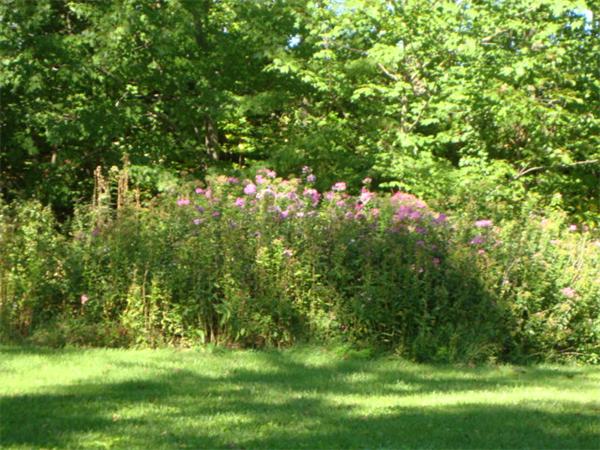 Viewing Image 10