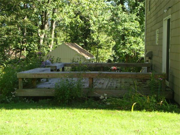 Viewing Image 12