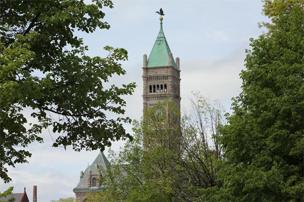 Viewing Image 16