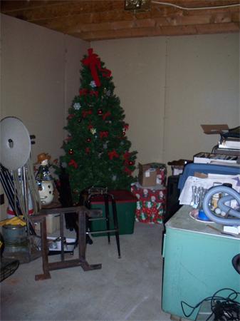 Viewing Image 24