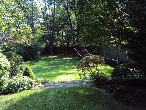 Viewing Image 18