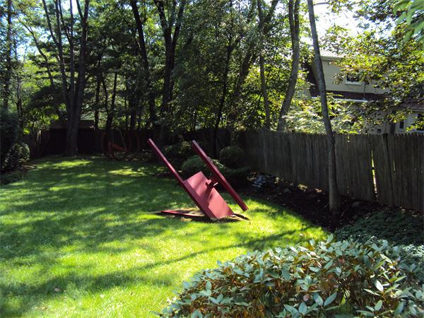 Viewing Image 19