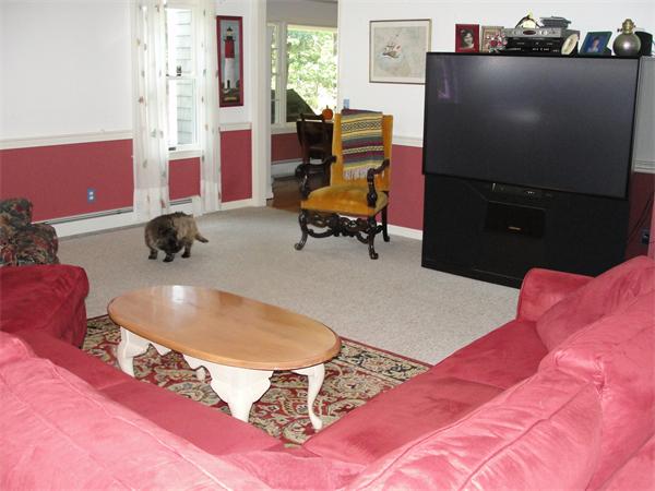 Viewing Image 15