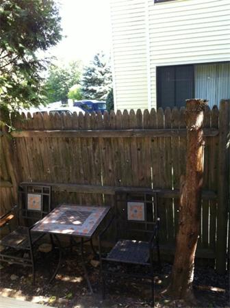 Viewing Image 11