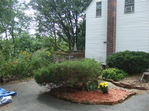 Viewing Image 17