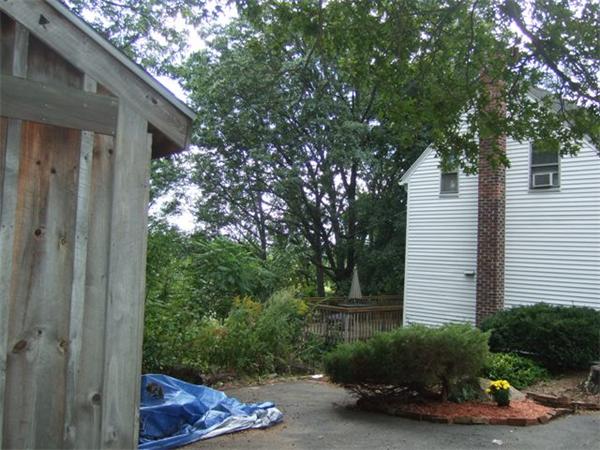 Viewing Image 18