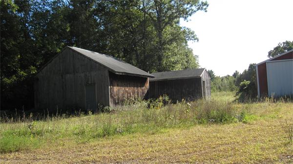 Viewing Image 20