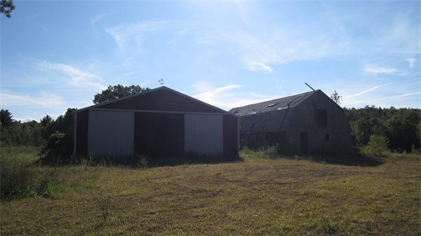 Viewing Image 21