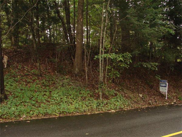 Land for Sale, ListingId:17366092, location: 209 South Street Auburn 01501