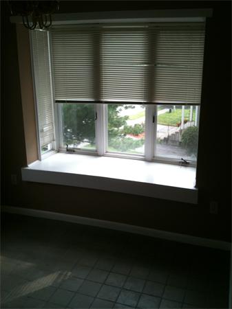 Viewing Image 4