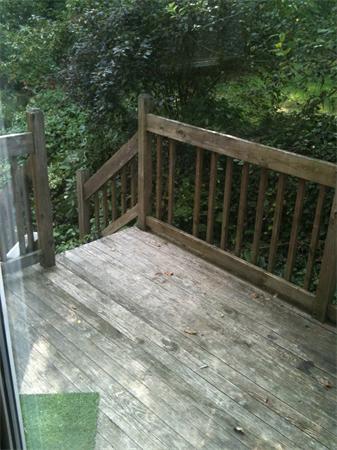 Viewing Image 8