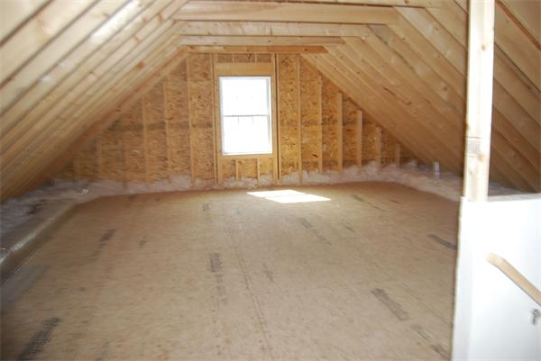 Viewing Image 28