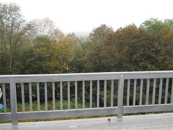 Viewing Image 2