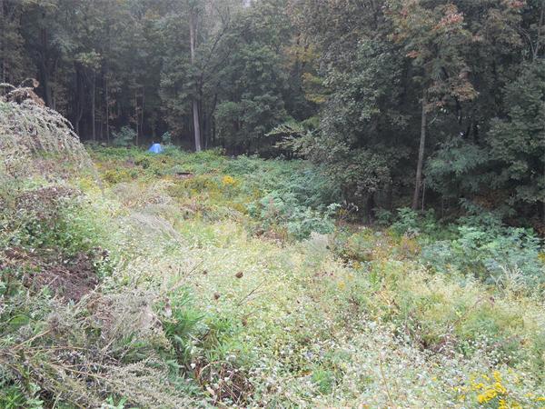 Viewing Image 8
