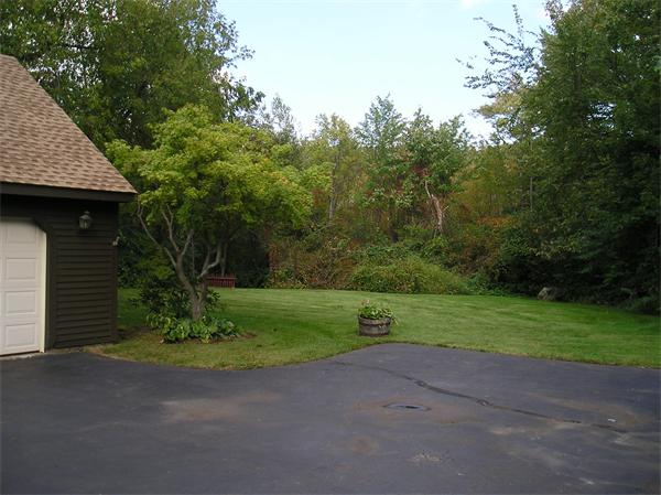 Viewing Image 5