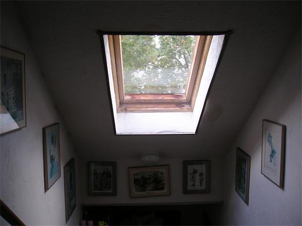 Viewing Image 15