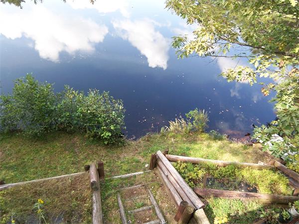 Viewing Image 11