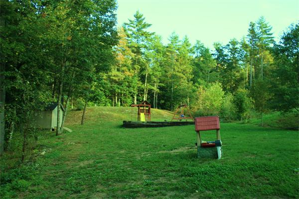 Viewing Image 3
