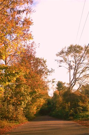 Viewing Image 16