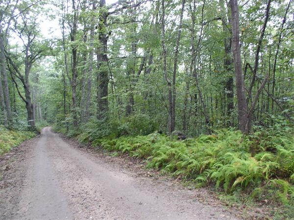 Land for Sale, ListingId:17517565, location: Lot 10B Sheldon Road Barre 01005