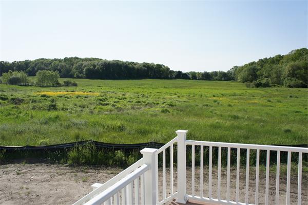 Viewing Image 14