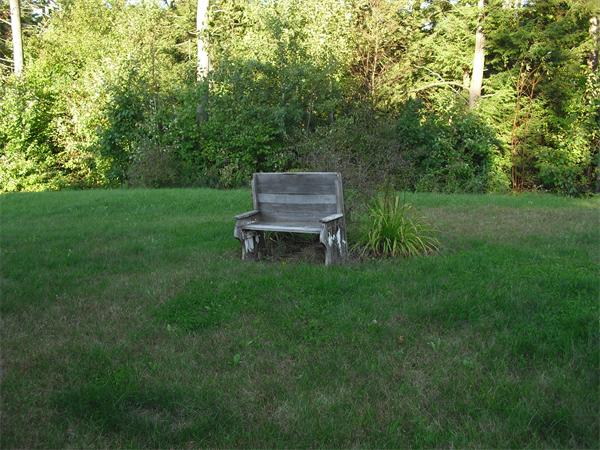 Viewing Image 4
