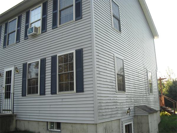 Viewing Image 5
