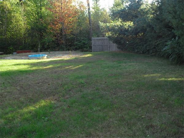 Viewing Image 8