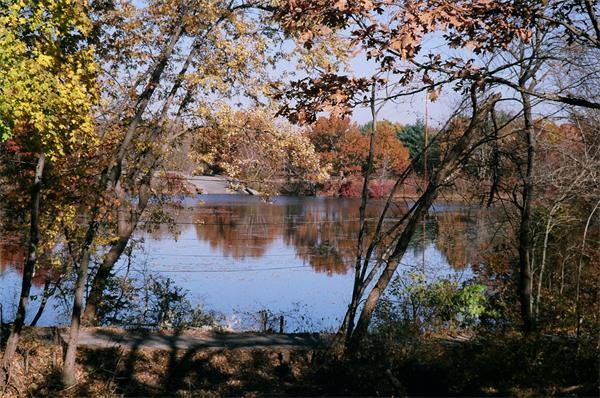 Viewing Image 6