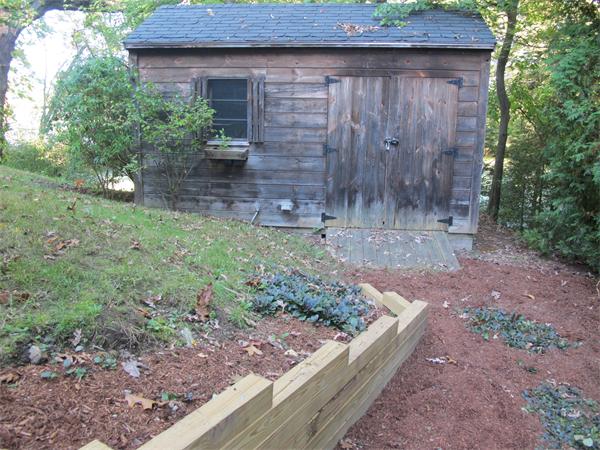 Viewing Image 8