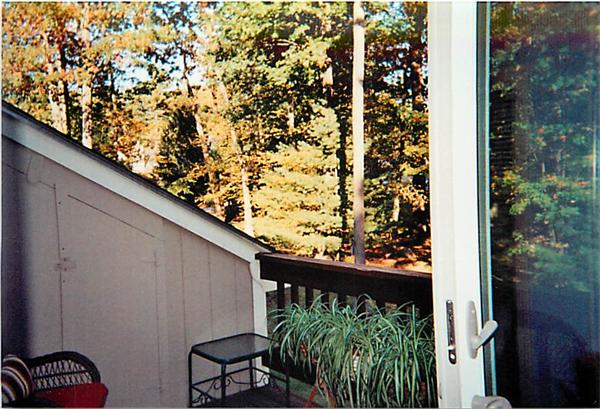 Viewing Image 11
