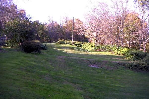 Viewing Image 5