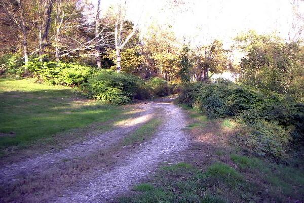 Viewing Image 6