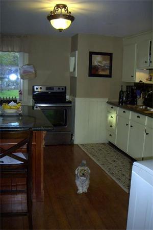 Viewing Image 14