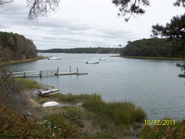 Viewing Image 2